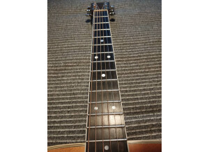 Martin & Co D-35