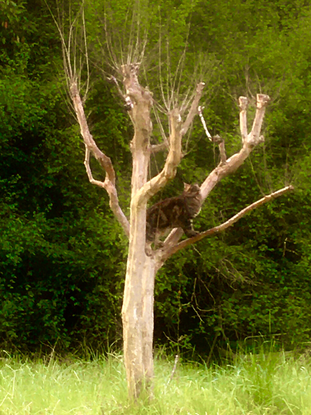 5964378.jpg 5964378.jpg