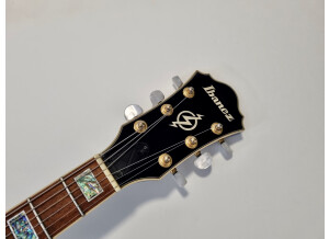 Ibanez AF95 Artcore Expressionist (96367)