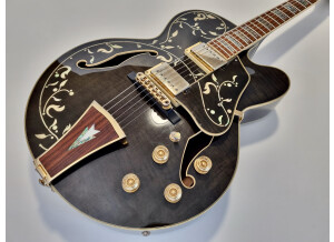 Ibanez AF95 Artcore Expressionist (56262)