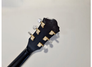 Ibanez AF95 Artcore Expressionist (53907)