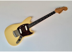 Fender MG65 (85961)