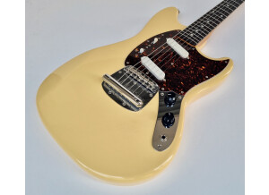Fender MG65 (35392)