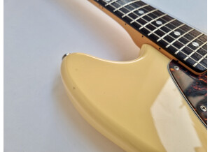 Fender MG65 (58453)