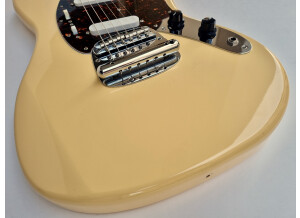 Fender MG65 (85210)