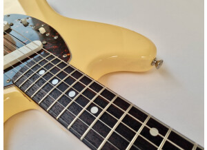 Fender MG65 (31797)