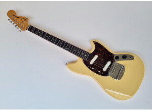 Fender MG65 (95997)