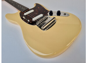 Fender MG65 (83020)
