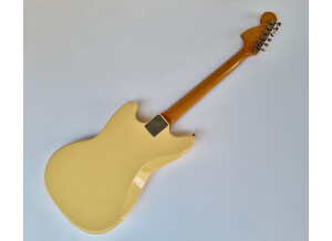 Fender MG65 (24384)