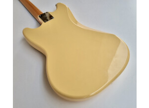 Fender MG65 (64994)