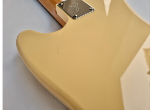 Fender MG65 (16036)