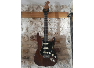 stratocaster-roasted-ash-3874243