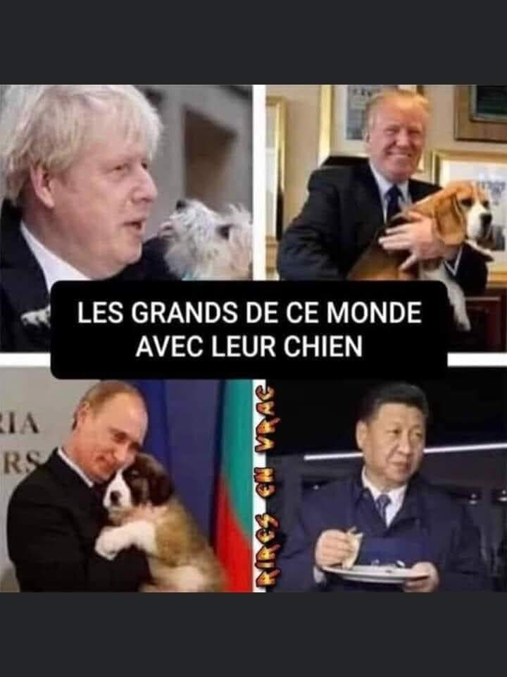 5969945.jpeg 5969945.jpeg