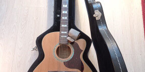 Guitare acoustique TAKAMINE EG523SC-12