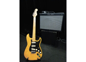Fender Special Edition Lite Ash Stratocaster (46770)