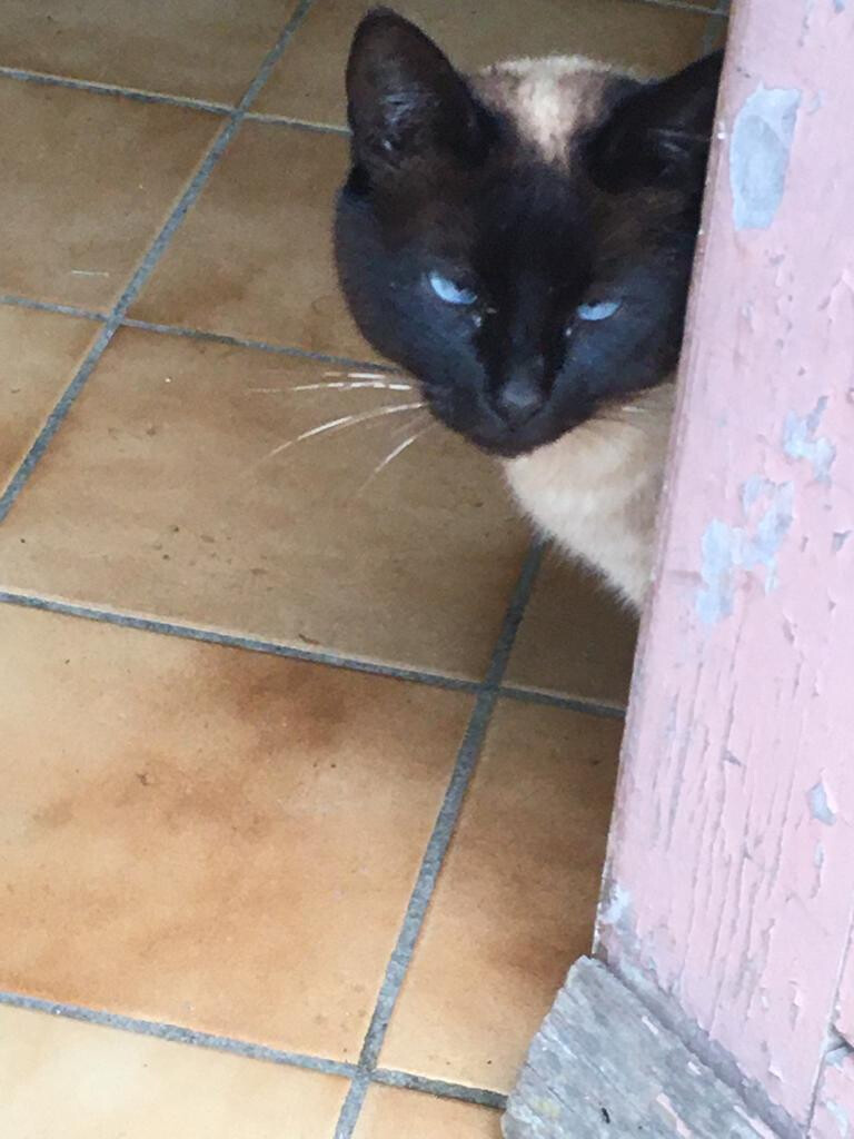 5971102.jpg 5971102.jpg