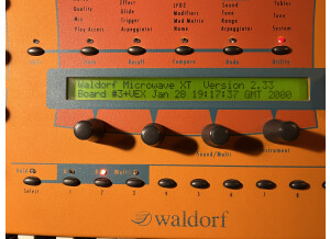 Waldorf MicroWave XTk (71816)