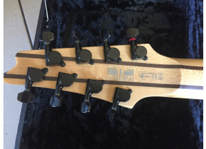 Ibanez RG2228 (85765)