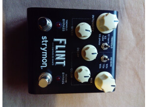Strymon Flint (98750)