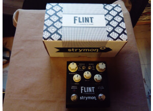 Strymon Flint (35958)