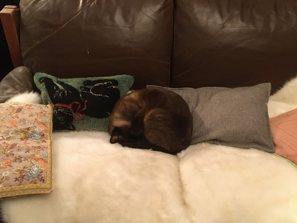 5971640.jpg 5971640.jpg