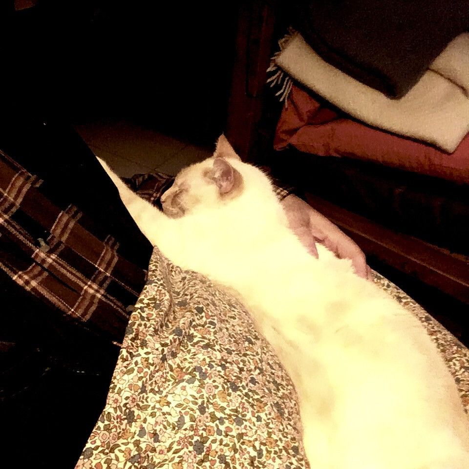 5971641.jpg 5971641.jpg