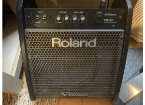 Roland PM-100 (63203)