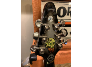 Epiphone Brent Hinds Flying-V Custom (44677)