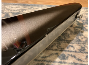 Epiphone Brent Hinds Flying-V Custom (23782)