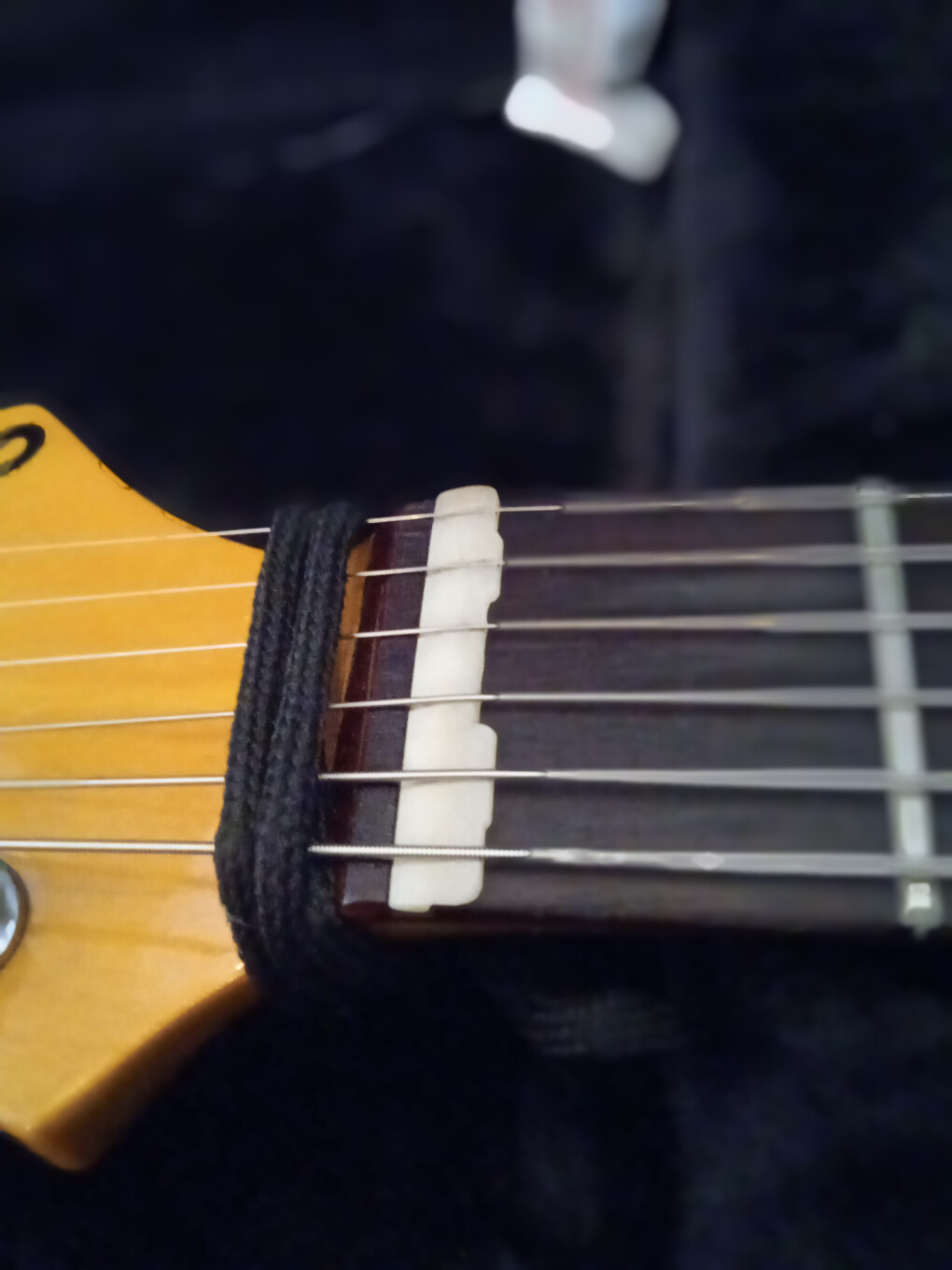 5972424.jpg 5972424.jpg