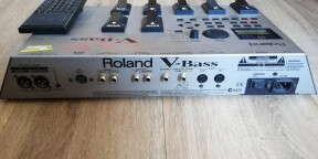 Roland V-Bass + câble GKC-5 + micro GK-2B