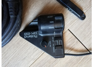 Roland V-Bass (65188)