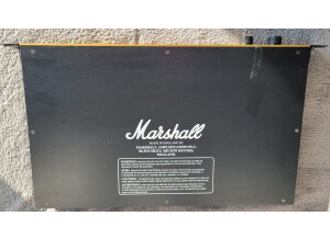 Marshall EL84 20/20