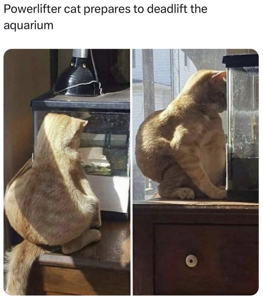 5973491.png 5973491.png