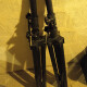 Pro-12 Pro-12