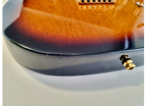 Fender Tele-Bration Cabronita Telecaster (60970)