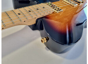 Fender Tele-Bration Cabronita Telecaster (80387)