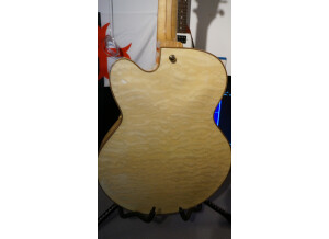 Ibanez AF125 (16347)