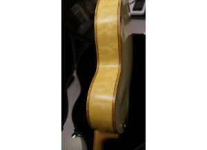 Ibanez AF125 (71158)