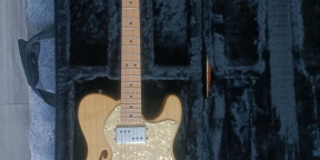 Vends guitare Fender Telecaster Thinline Mexico Classic Series 7