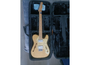 Fender Vintera '70s Telecaster Thinline