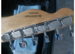 fender-telecaster-thinline6