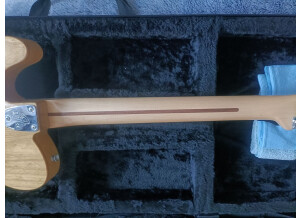 fender-telecaster-thinline8