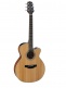 Takamine GN20CE (28882)