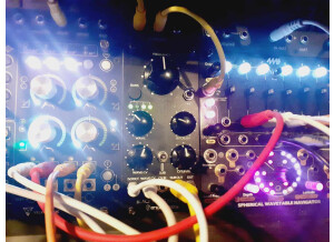 Erica Synths Black Wavetable VCO (31686)
