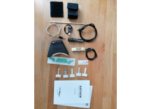 L.R.Baggs Anthem déléments séparés