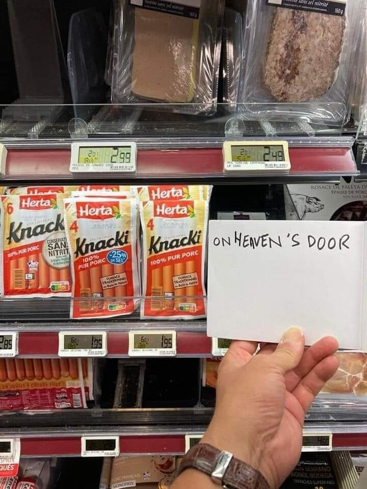 5976221.jpg 5976221.jpg