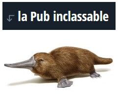 5976228.jpg 5976228.jpg