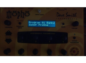 Dave Smith Instruments Mopho (97336)