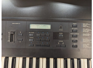 Korg DSS-1 Digital Sampling Synthesizer (2558)